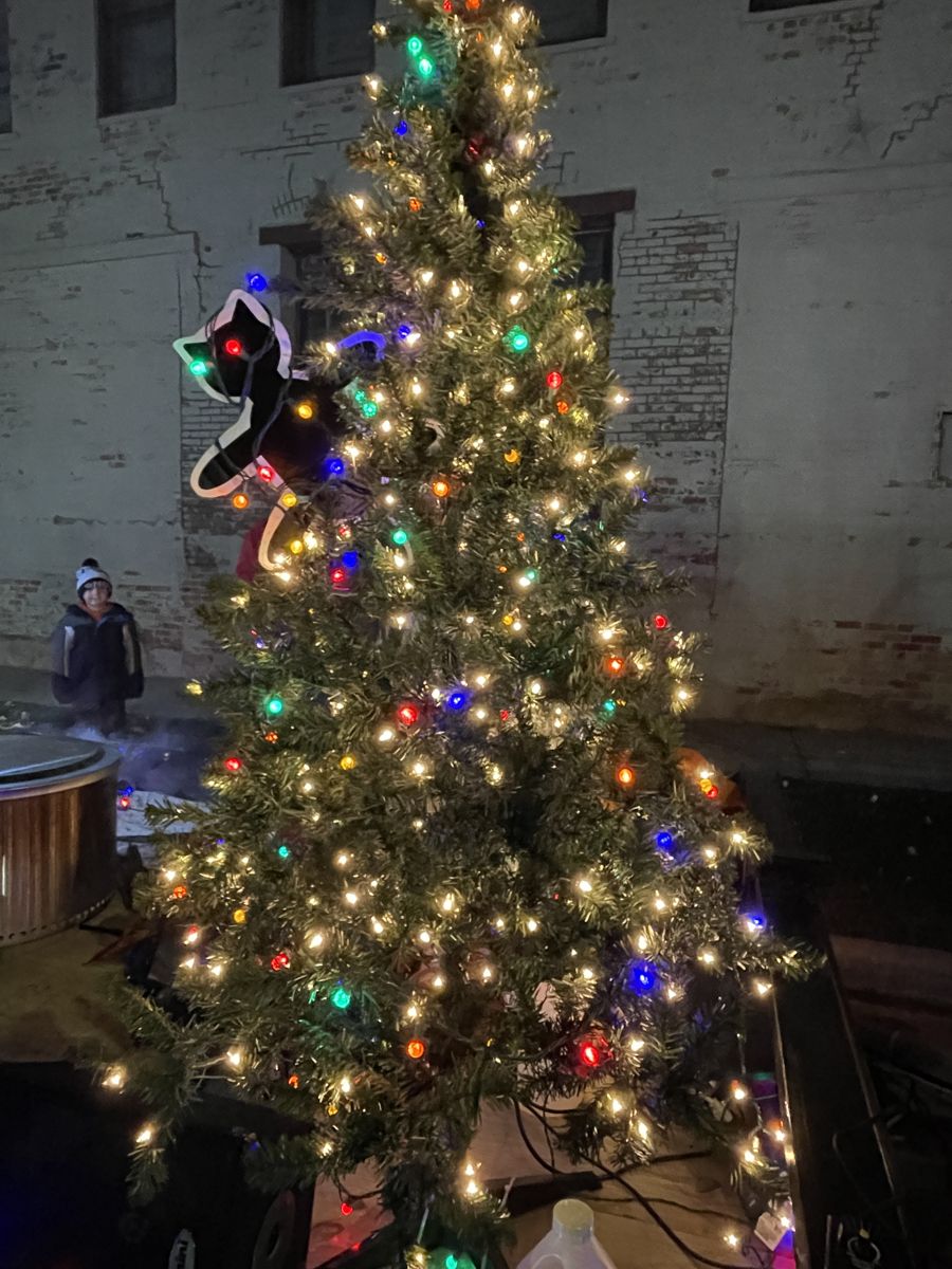 A decorated tree during the holidays in Beaver Dam